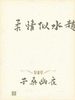 柔情似水赵雅儿