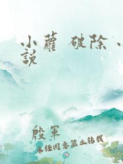 小萝 破除 小说