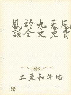 凤于九天风弄小说全文免费阅读无弹窗