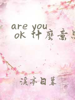 are you ok 什么意思