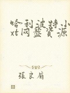 哈利波特小说txt网盘资源