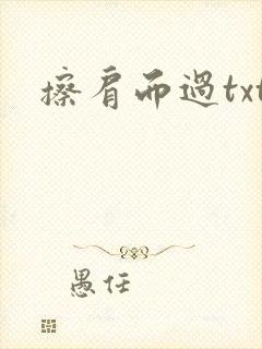 擦肩而过txt
