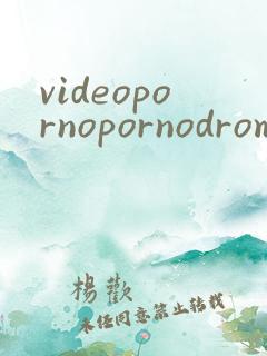 videopornopornodrome俄罗斯极品
