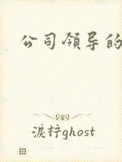 公司领导的老婆