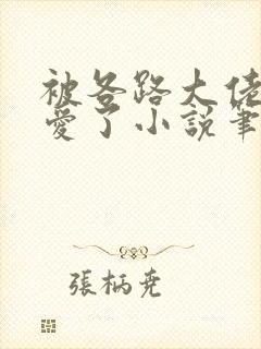 被各路大佬强制爱了小说笔趣阁