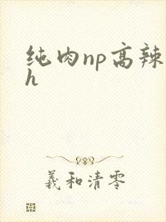 纯肉np高辣文h