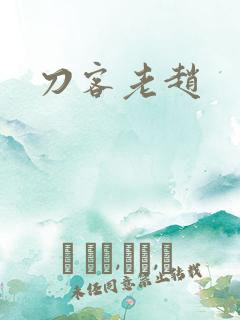刀客老赵