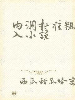 肉洞对准粗大坐入小说