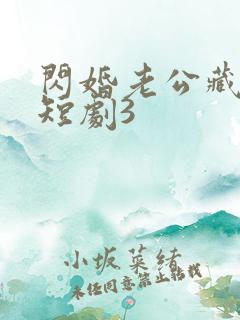 闪婚老公藏不住短剧3