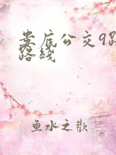 娄底公交9路车路线