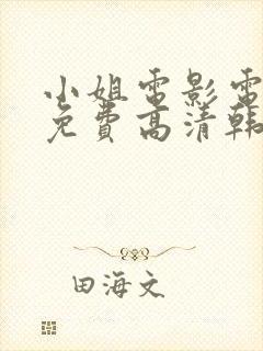 小姐电影电视剧免费高清韩剧