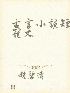 古言小说短篇甜宠文