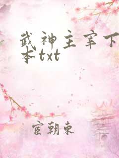 武神主宰下载全本txt