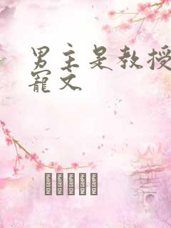 男主是教授的甜宠文