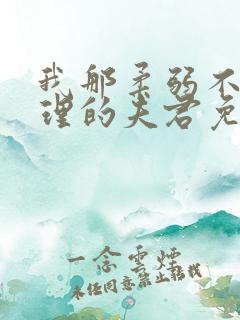 我那柔弱不能自理的夫君免费完整版