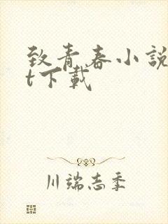 致青春小说txt下载