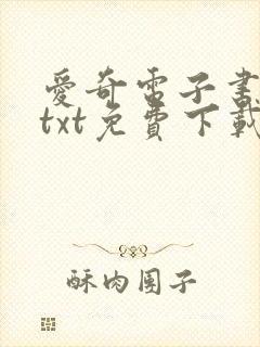 爱奇电子书下载txt免费下载