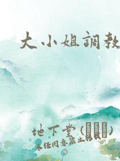 大小姐调教小说