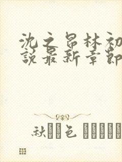 沈之昂林初窈小说最新章节免费阅读