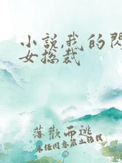 小说,我的闪婚女总裁