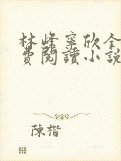 林峰宁欣全本免费阅读小说最新章节