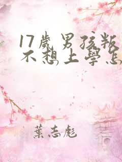 17岁男孩叛逆不想上学怎么办