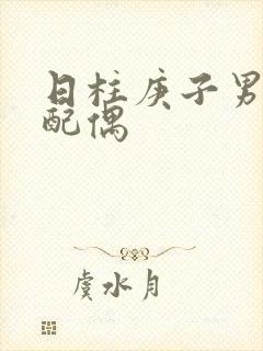 日柱庚子男命看配偶