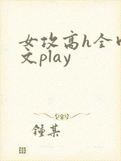女攻高h全肉污文play