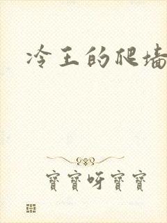 冷王的爬墙丑妃