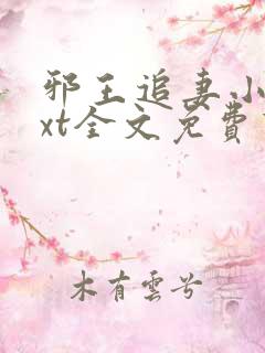 邪王追妻小说txt全文免费下载