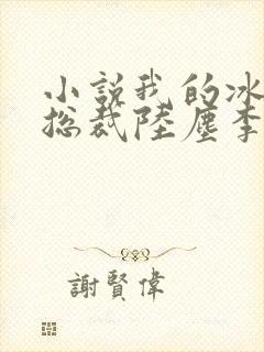 小说我的冰山女总裁陆尘李清瑶