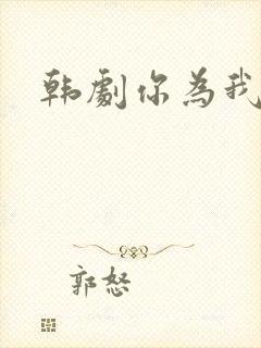 韩剧你为我着迷