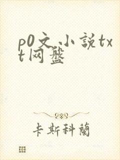p0文小说txt网盘