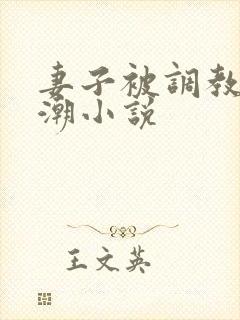 妻子被调教到高潮小说