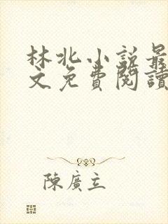 林北小说最新全文免费阅读