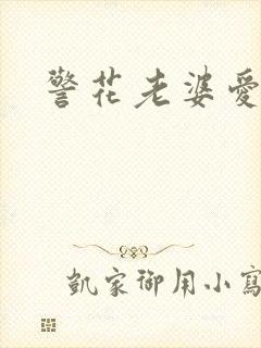 警花老婆爱上我