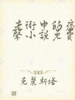 老街中的痞子有声小说免费听