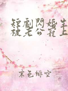 短剧闪婚生子后被老公宠上天