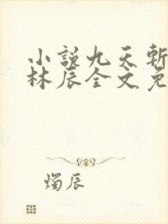 小说九天斩神诀林辰全文免费阅读