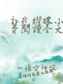 许我耀眼小说免费阅读全文最新章节