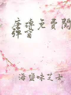 唐砖免费阅读无弹窗