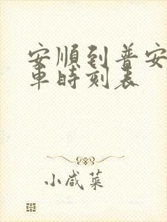 安顺到普安县汽车时刻表