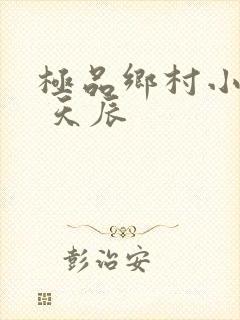 极品乡村小神医 天辰