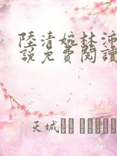 陆清婉林沛琛小说免费阅读最新章节