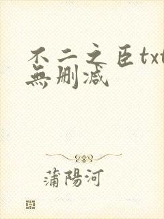 不二之臣txt无删减