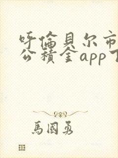 呼伦贝尔市住房公积金app下载