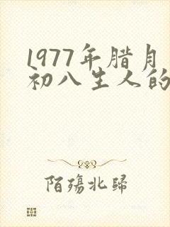 1977年腊月初八生人的命运