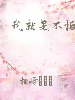 我就是不怕小说