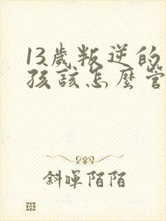 13岁叛逆的男孩该怎么管教