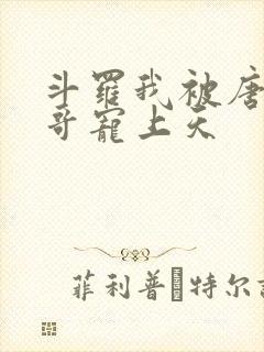 斗罗我被唐三哥哥宠上天